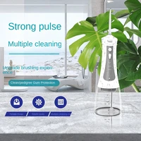 2022 new intelligent electric dental cleaner portable dental stone remover dental floss delivery nozzle water flosser