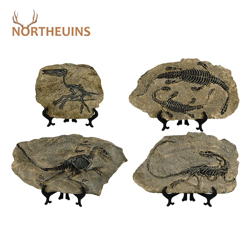 

NORTHEUINS Resin Dinosaur Fossil Figurines Retro Animal Statue Miniature Interior Living Room Decor Souvenirs for Home Gifts