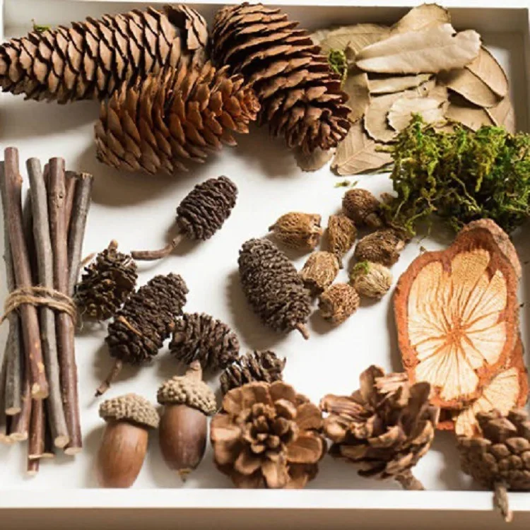 Сухой цветок креативная наклейка материал для детского сада воск ручной работы