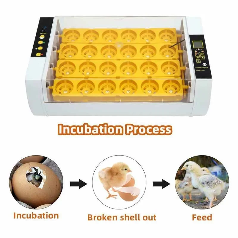 Полностью автоматический инкубатор для 24 яиц с высокой степенью инкубации
