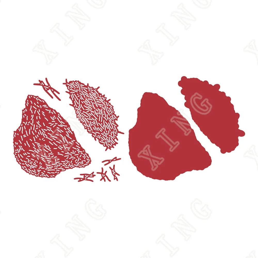 

Hot Sale Scattered Stalks Die 2022 New Metal Cut Dies Scrapbooking Diary Decoration Embossing Stencil Diy Greeting Card Handmade