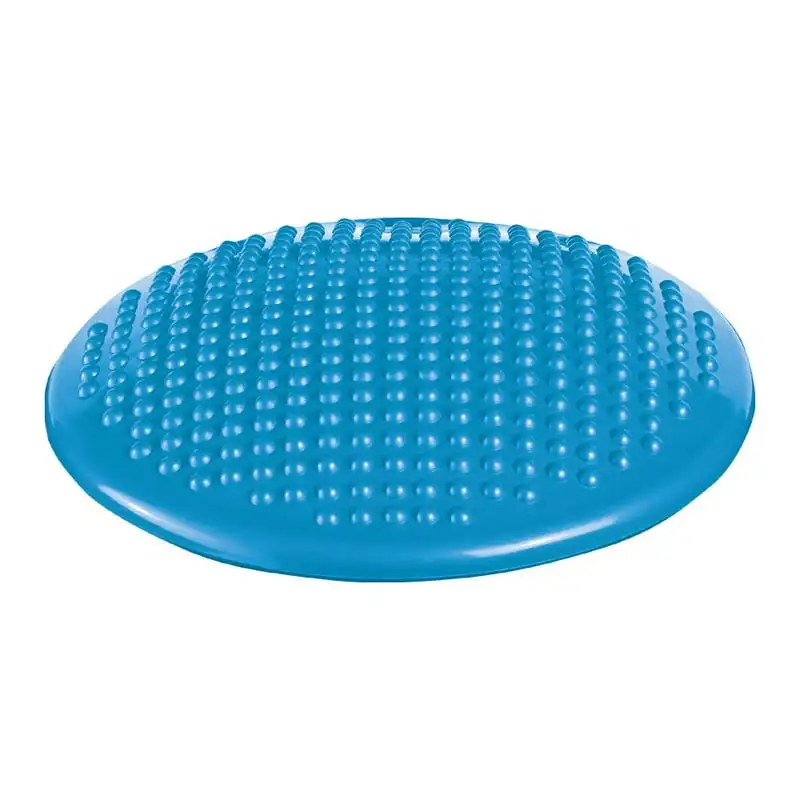 

Cushion, Bright Blue, 12" Diameter