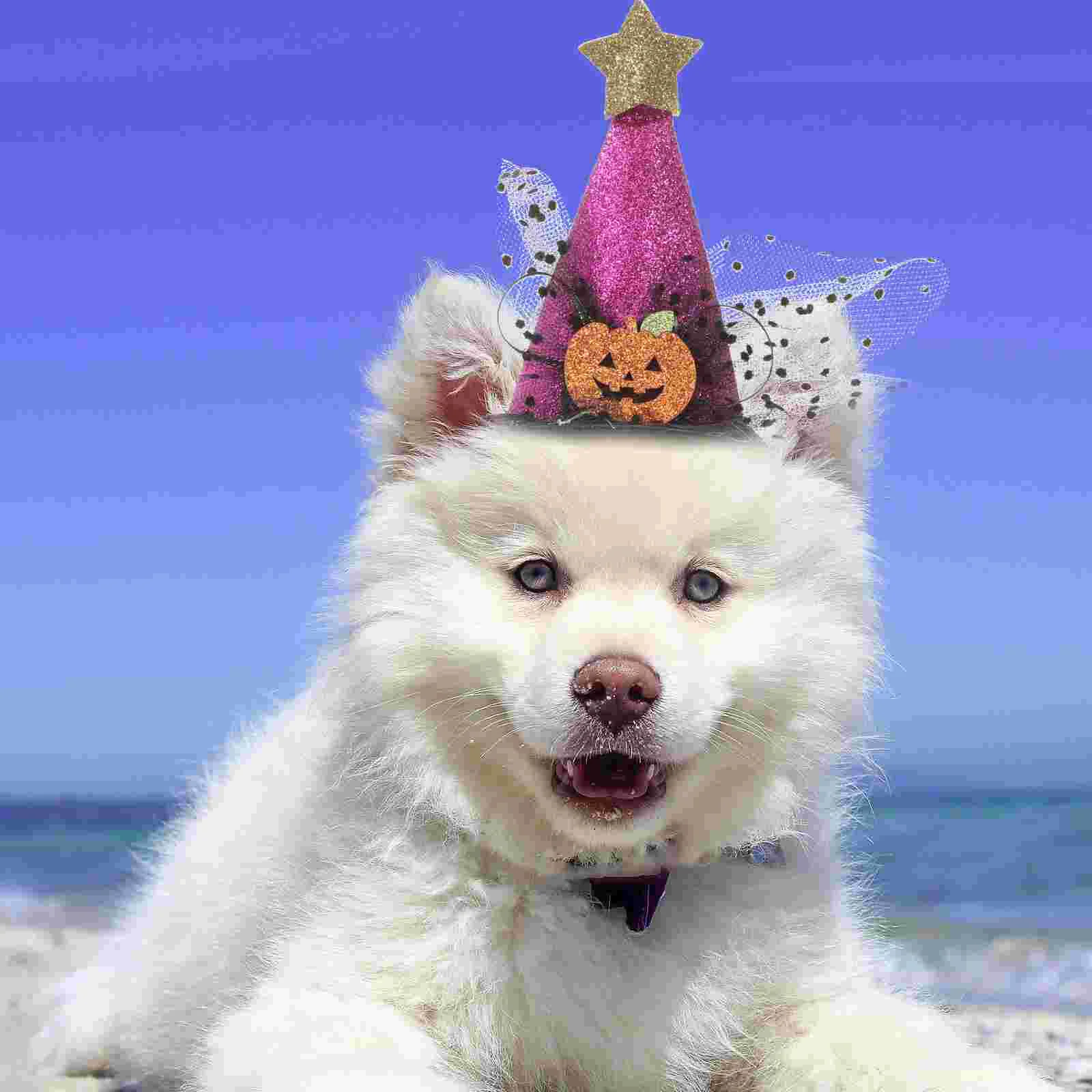 

2 Pcs Pet Headgear Adjustable Hat Household Decor Halloween Dog Cap Costumes Cat Caps