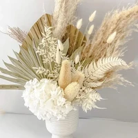 40 45cm dried pampas grass premium dry bouquet with naturally pampa for boho home decor wedding decoration diy small reed plants