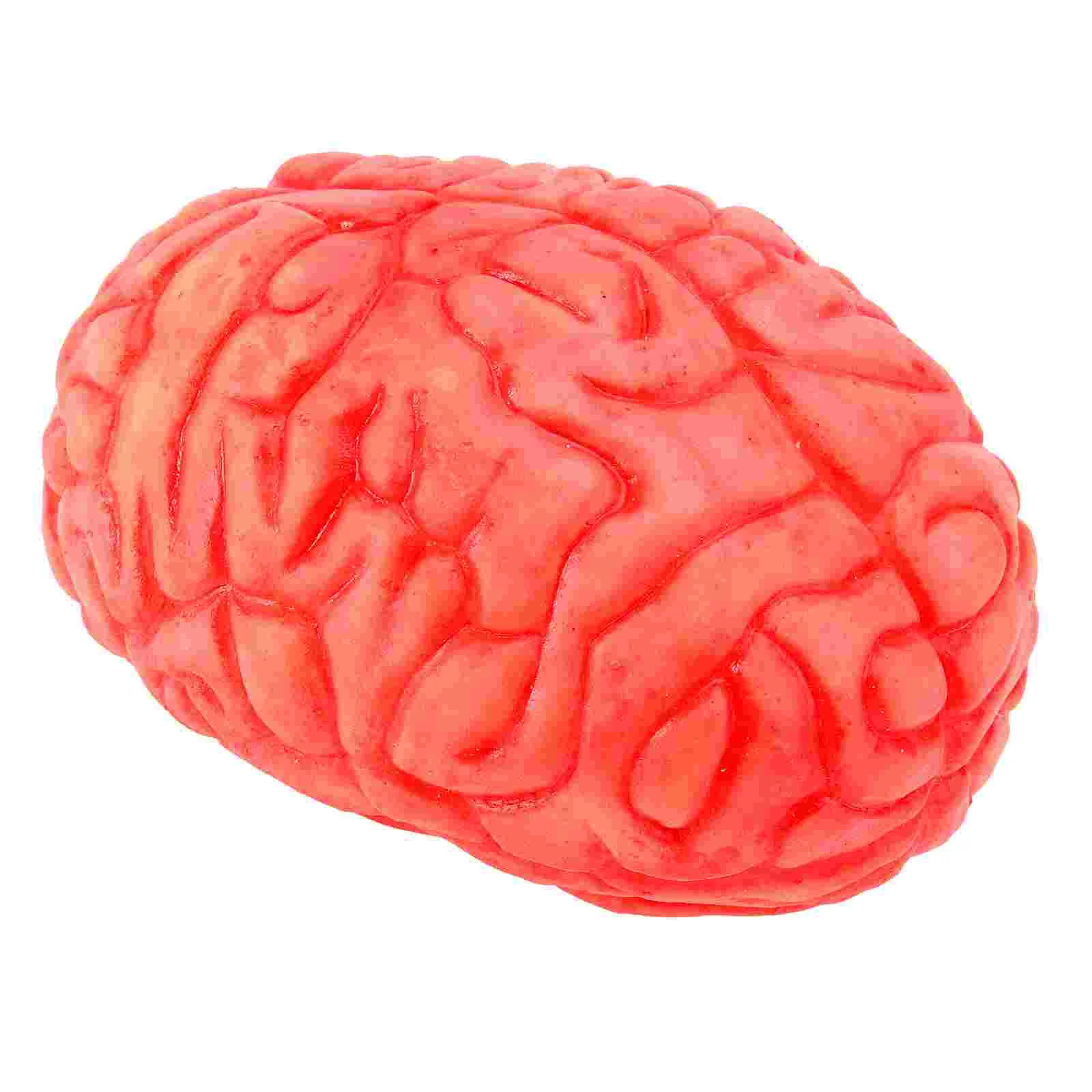 

Halloween Prop Scary Fake Organ Human Brain Body Parts for Halloween Party Accessories