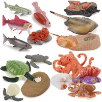 17 pcs ocean sea marine animal growth cycle model turtle limulus salmon fish octopus model party favor for boys girls