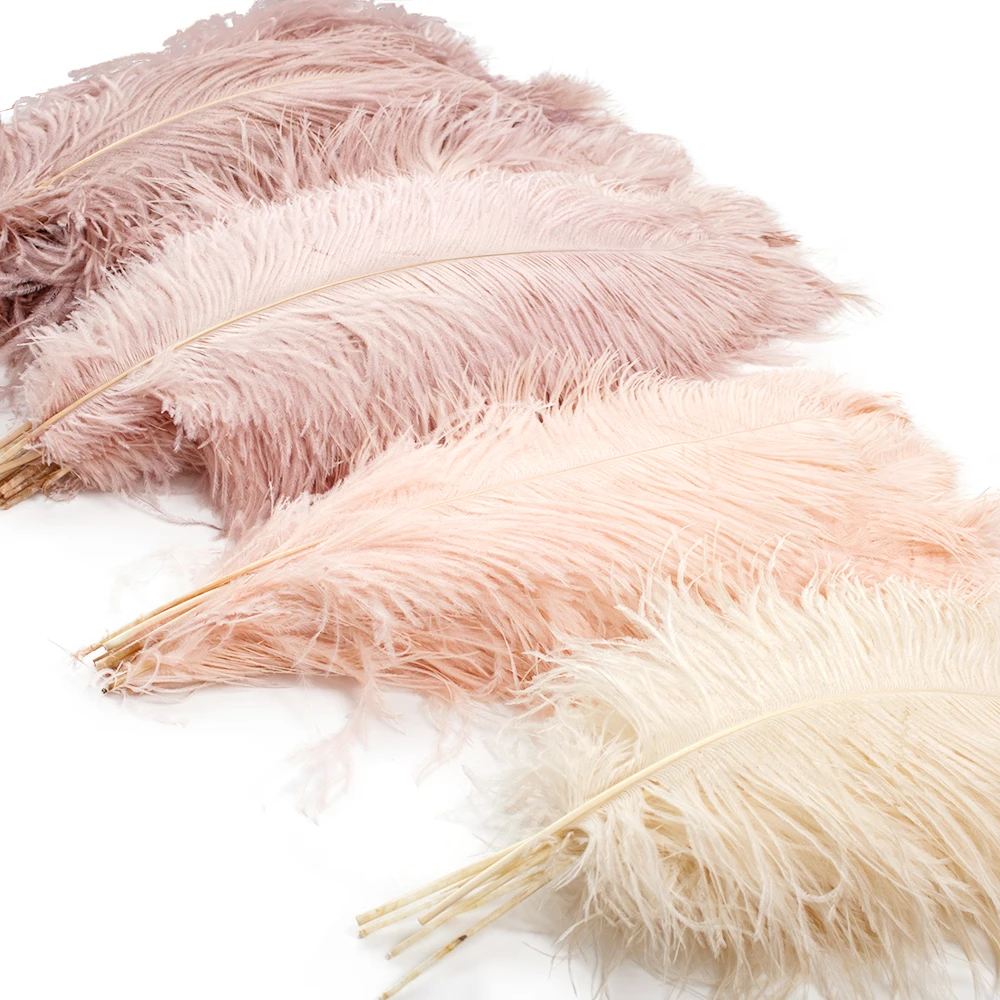 

Ostrich Feather Wedding Party Table Centerpiece Decoration Plume High Quality Ostrich Feathers Costume Festival Show Prop 10 Pcs