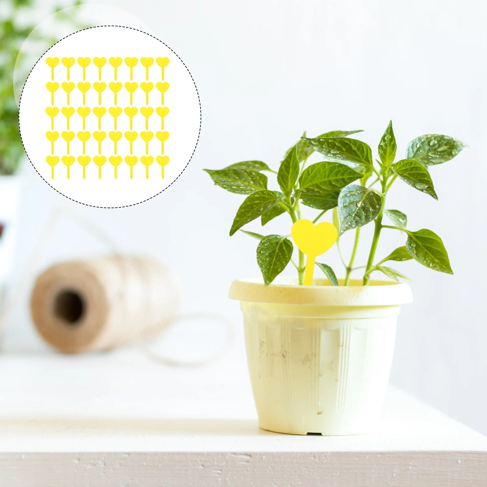 

100 шт., Т-образные ярлыки для горшков и цветов