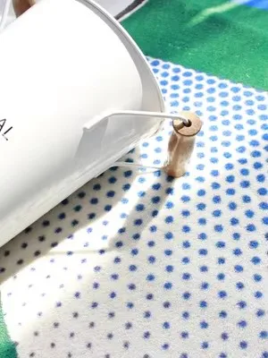 Роскошный круглый ковер для пожилых людей семейная гостиная спальня