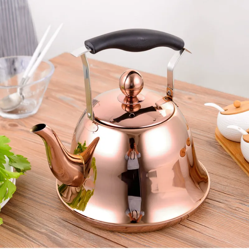 

Whistling Kettle with Infuser Loose Leaf Stainless Steel Teapot Rose Gold Tea Kettle for Stove Indu