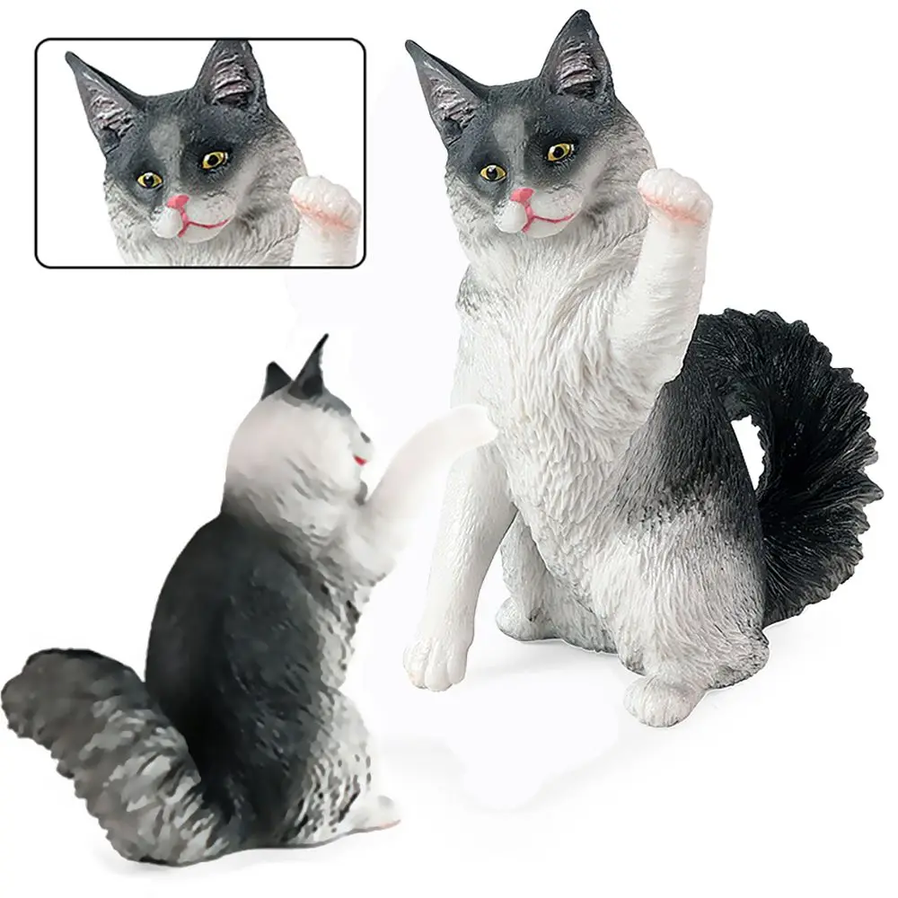 

& Nature, Детская развивающая игрушка для познания, Ragdoll, модель кошки, реалистичное животное, сидящее животное, фигурка котят для раннего обучения