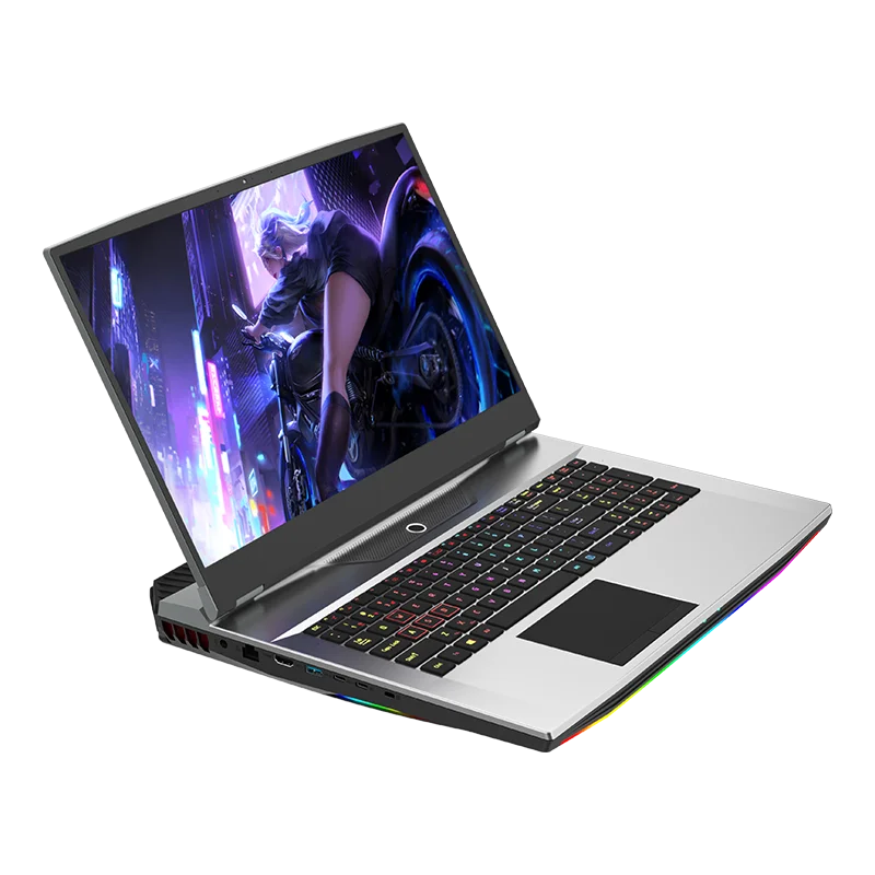 15,6-дюймовый i7-10750H/I9-10885H DDR4 16G/32G RAM M