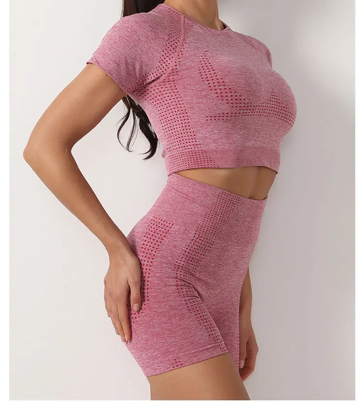 Women Seamless Yoga Outfits 2 Piece Set Workout Gym Shorts + Short Sleeve Crop Top Short Sleeve Yoga Suit