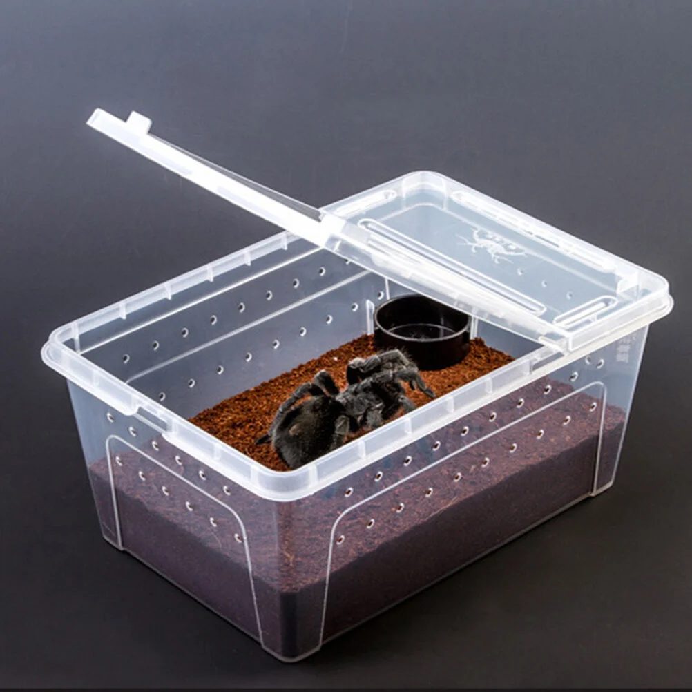 

10 Pcs Tenebrio Reptile Feeder Tortoise Water Dish Crawl Food Feeding Bowl Supplies