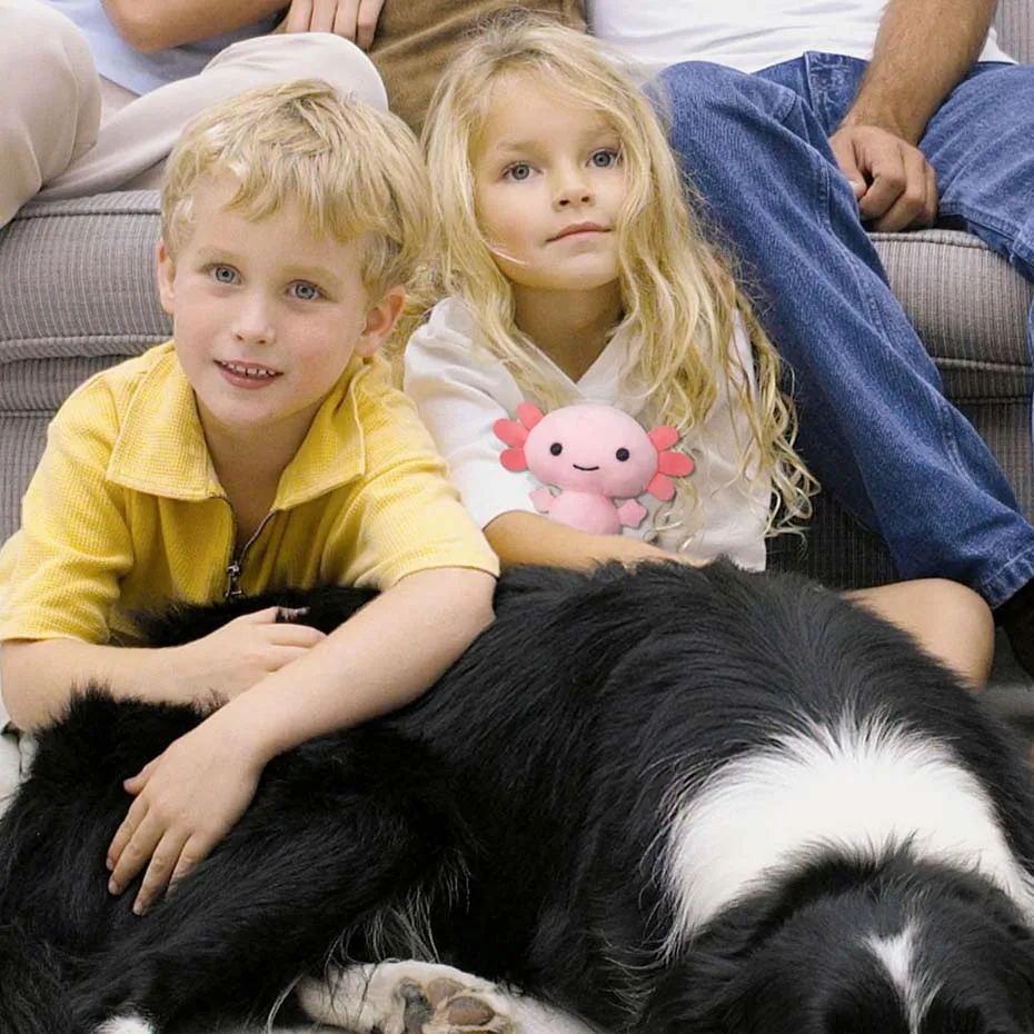 

Плюшевая игрушка Kawaii Axolotl, мультяшное милое животное, мягкая плюшевая кукла для детей, день рождения, искусственное украшение для дома