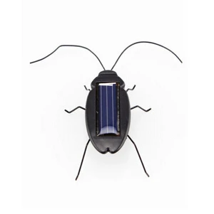 

Black Children Insect Bug Teaching Fun Gadget Toy Gift Power Energy Solar Cockroach 6 Legs Babies Kids Novelty Solar Toys