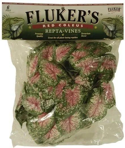 

Red Coleus Repta-Vines