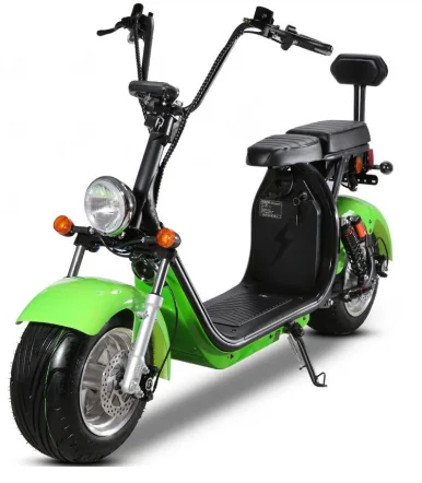 

Two Wheel 1500w Electric Motorcycle with 45kmh
