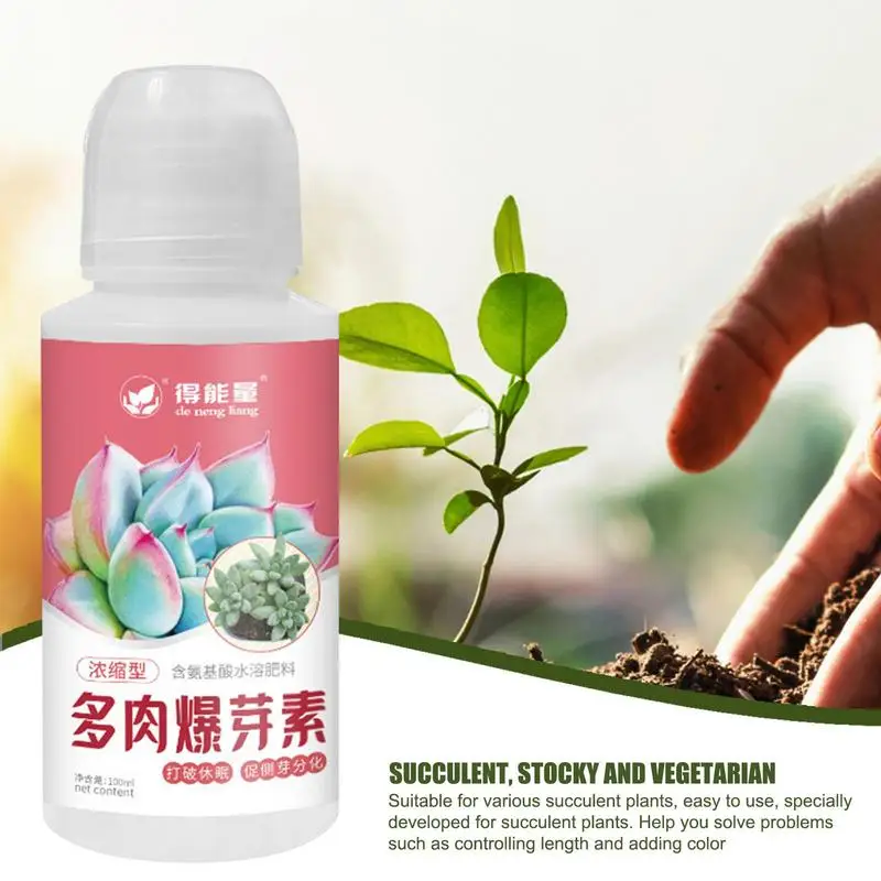 

Succulent Fertilizer Liquid Slow Release Succulent Growth Food 100ML Potted Succulent Liquid Boost Bud Amino Acid With