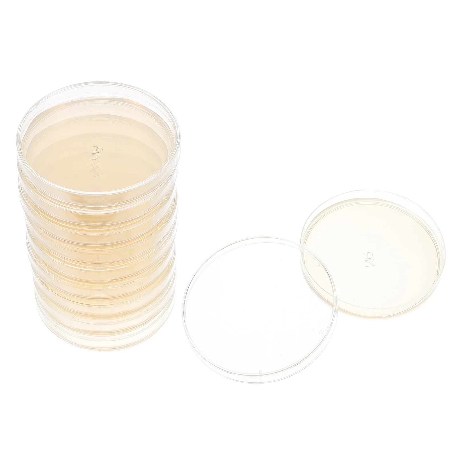 

10pcs Labs Agar Dishes Pre-Poured Agar Plates Educational Science Fair Project Kit