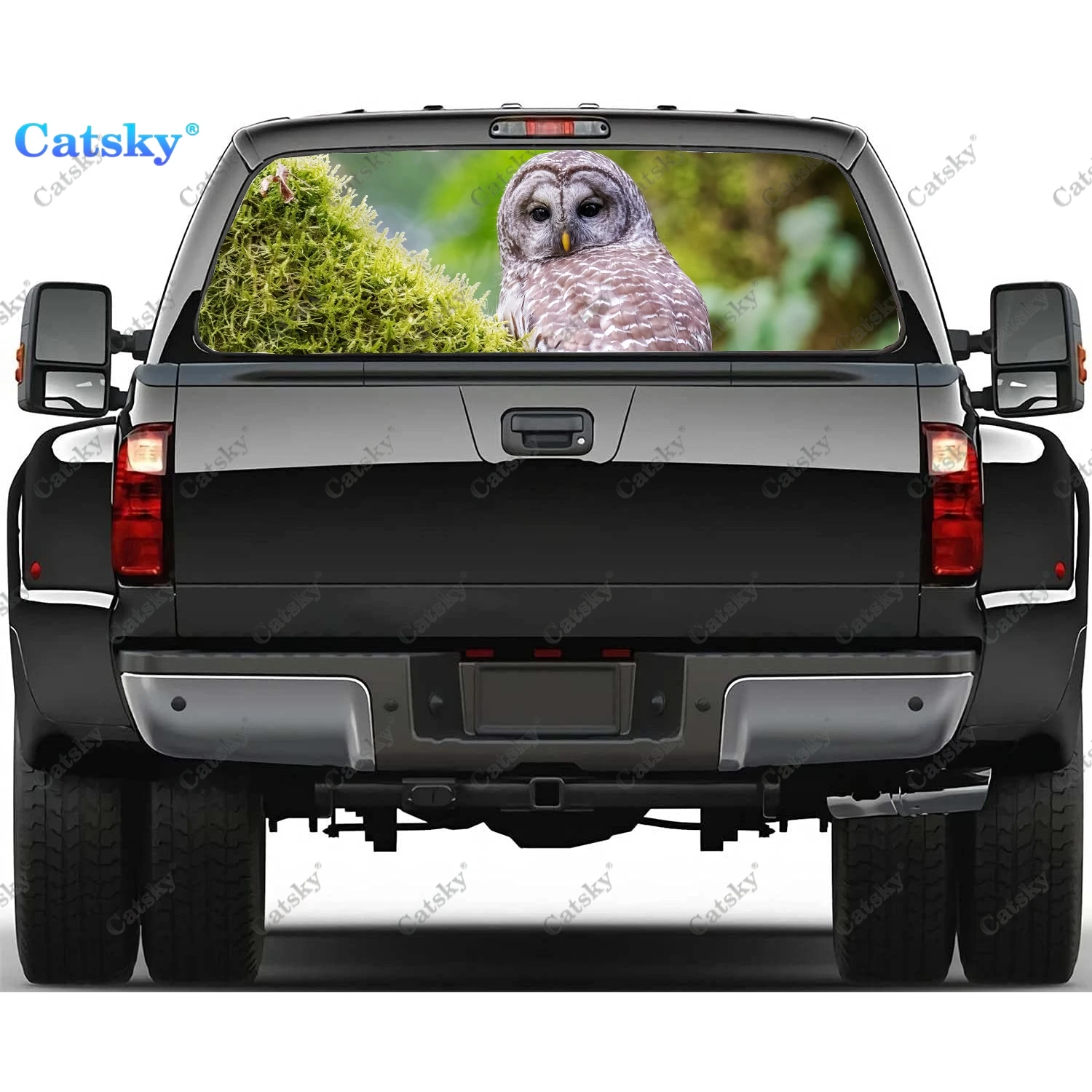 

Barred Owl Rear Window Decal Sticker Graphic PVC Material Truck Sticker Perforated Vinyl Universal Sticker