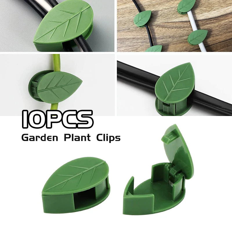 

10PCS Plant Climbing Wall Fixture Clips Self-Adhesive Invisible Vines Hook Support Garden Wall Fixer Wire Fixing Snap Accessorie