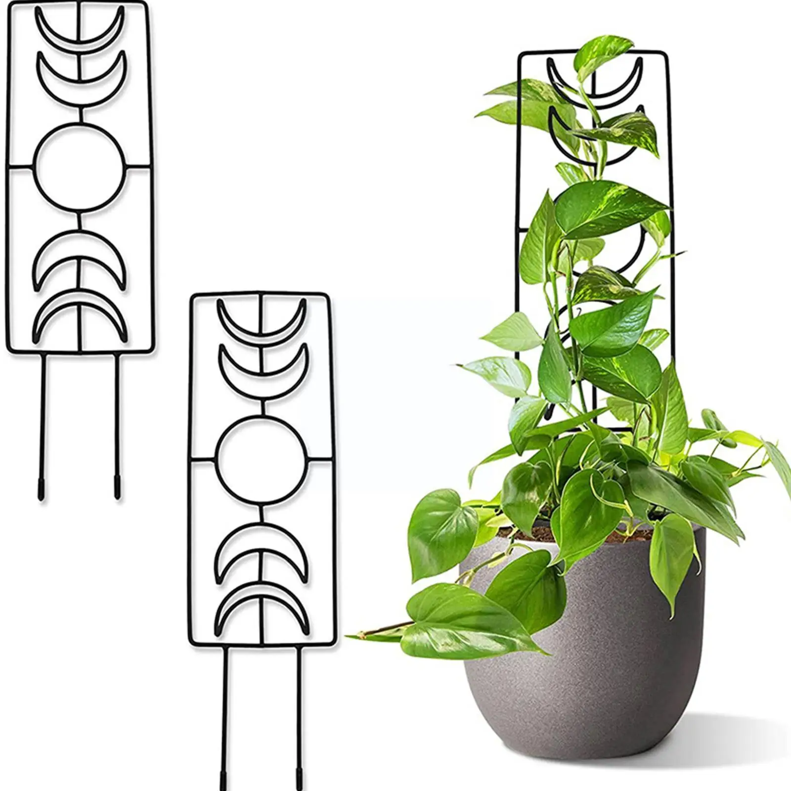 

Moon Phase Trellis Indoor Plant Trellis Climbing Plant Small Garden Trellis For Potted Plant Houseplant Metal Wire Trellis W2O8