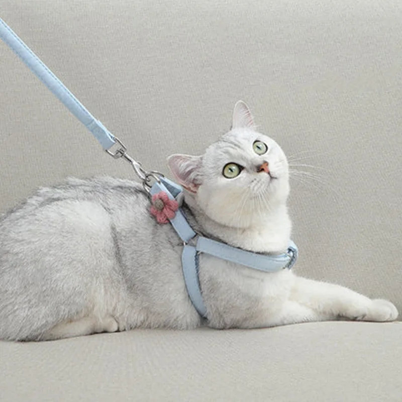 

Комплект жгут для домашних животных, жилет с цветком, нагрудный ремень, брезентовый, регулируемый, розовая/синяя