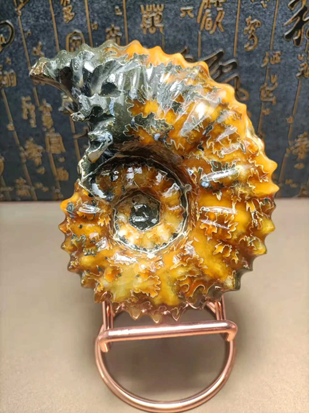 

Natural polished "horn" ammonite Rhododendron Madagascar Reiki home Decor Chakra Energy Treatment ++ send bracket