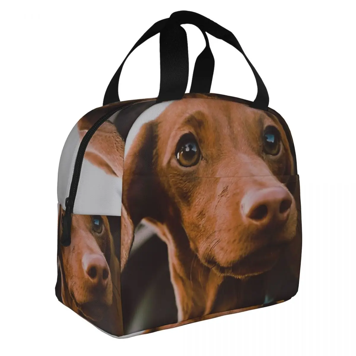 Dachshund Dog Photo Portrait With Car Lunch Bento Bag Portable Aluminum Foil thickened Thermal Cloth Lunch Bag for Women Men Boy
