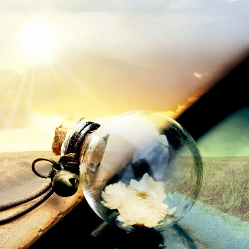 Автомобильный подвесной парфюмерный ароматизатор освежитель воздуха пустая