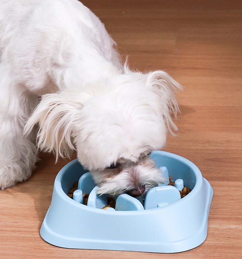 Купить Миску Для Медленного Кормления Собак