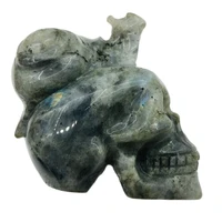545 570g natural labradorite quartz skull and snail hand carved crystal reiki healing magic power house and home decoration 1pc