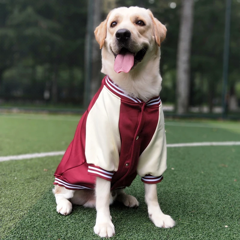 

2022 Dog Clothes Winter Clothing Large Dogs Winter Pet Clothing More Golden Fur Edge Grazing Autumn and Winter