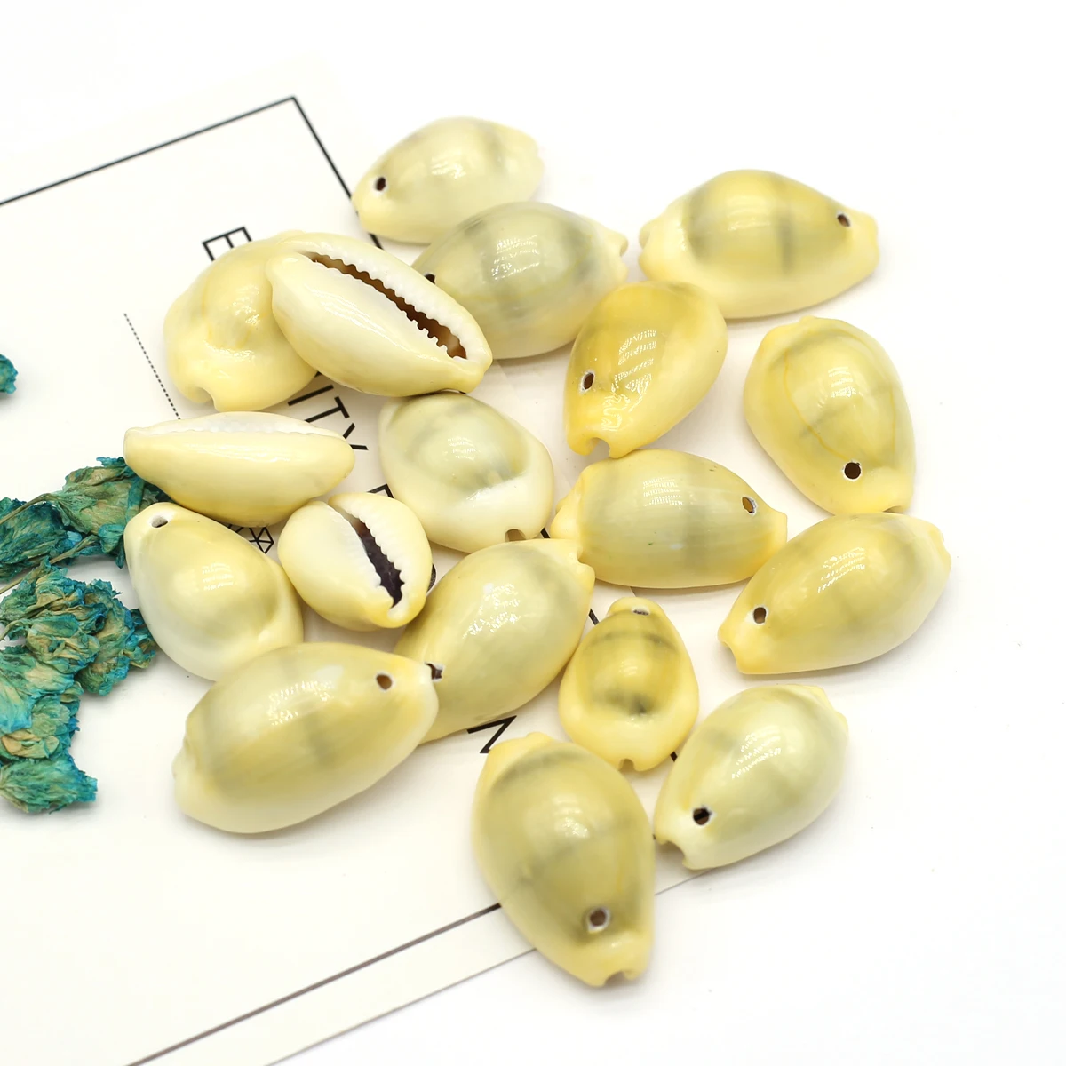 

2022 новый натуральный цвет ракушки россыпью DIY браслет ожерелье серьги ювелирные изделия Изысканные женские подарки около 100 г/20 штук