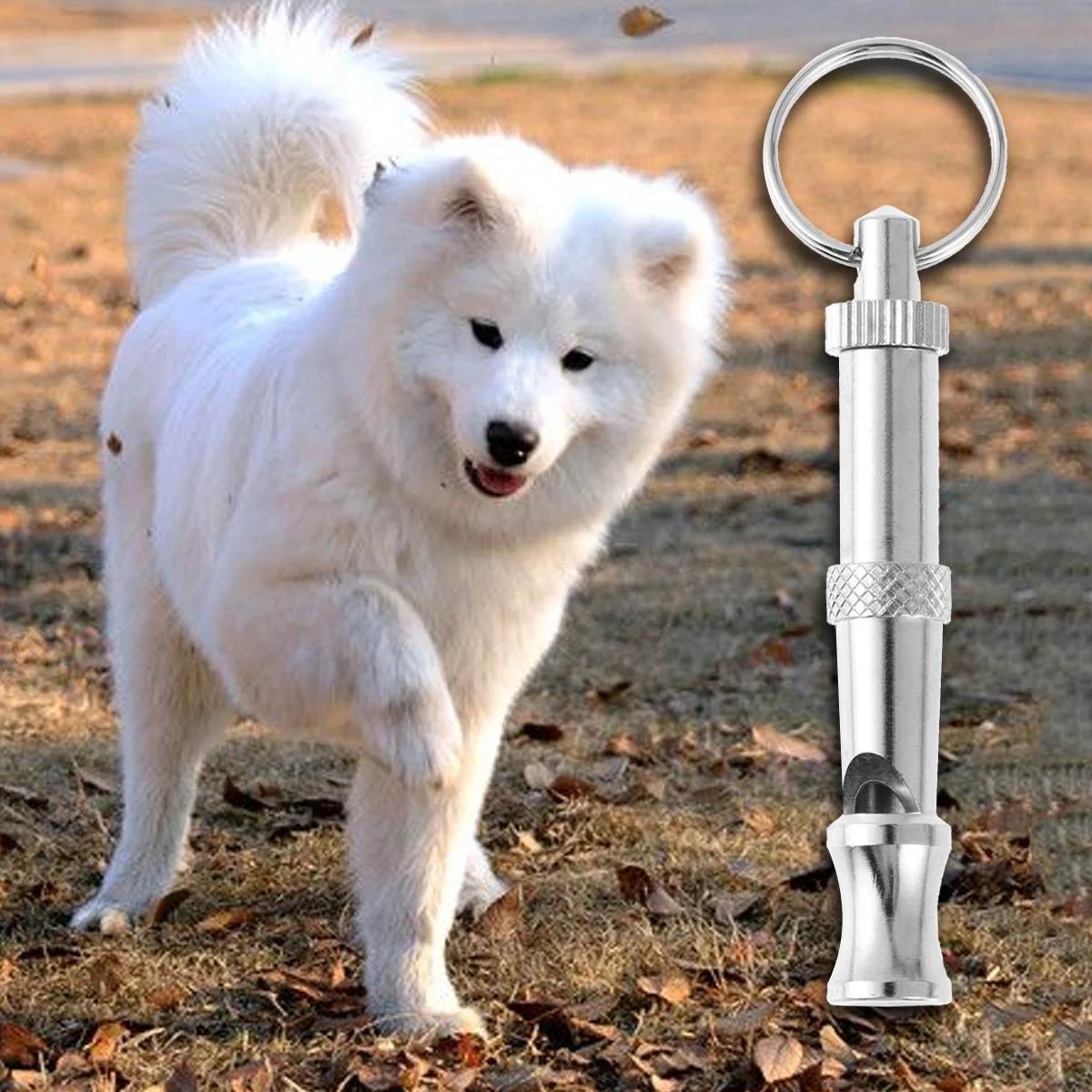 

Whistle Dog Training Whistles Dogs Silent Tool Barking Stop Sound Copper Best Lanyard Control Bark Recall Running Puppy Survival