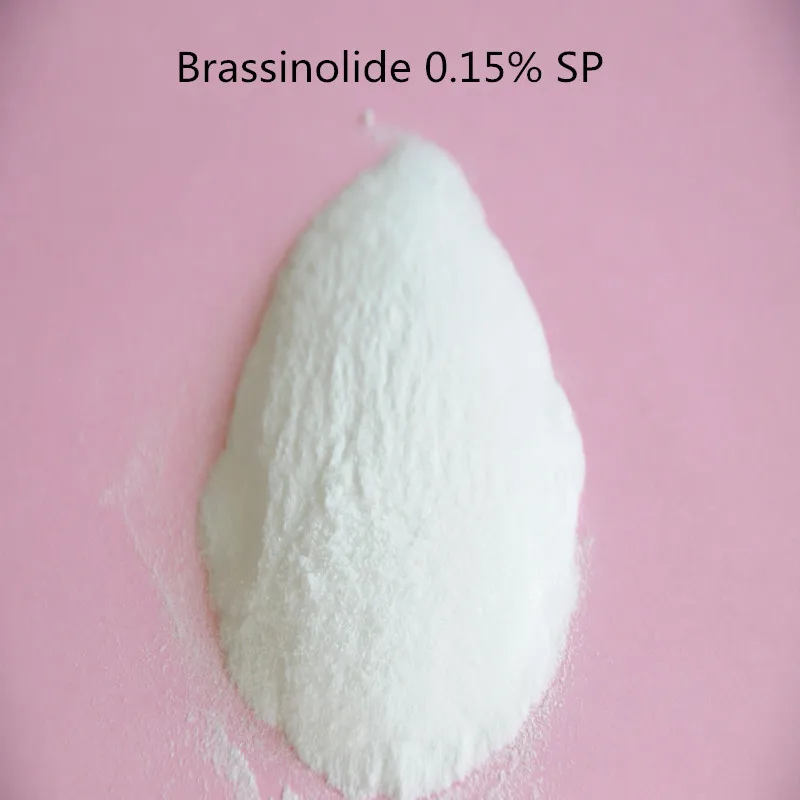 

800 gram water soluble Brassinolide 0.15%SP /Natural Brassinolide C28H48O6 CAS 72962-43-7 plant nutrition rooting high quality