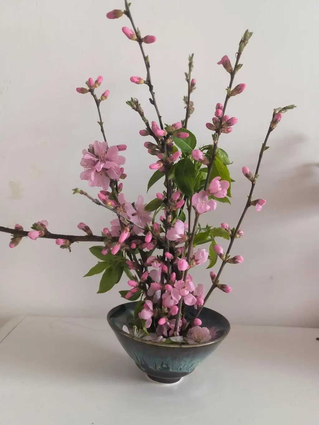 Японская икабана Кенцан игла цветочная основа латунный держатель колючая