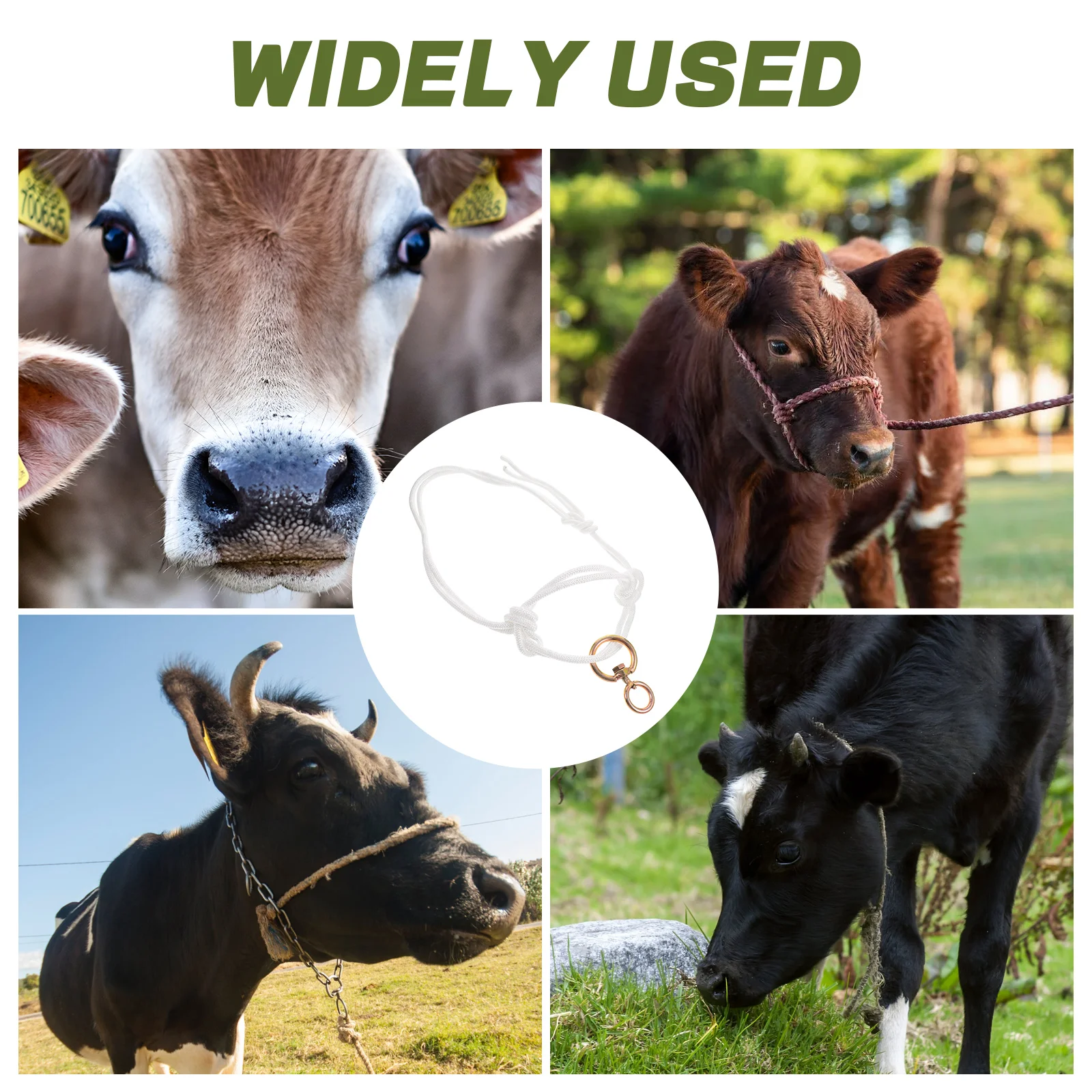 Рисунок 4 - Шнурок с завязками для крупного рогатого скота