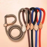 slip dog leash p chain dog collar integrate nylon mountain climbing rope walking dog leash for small medium large dogs puppy
