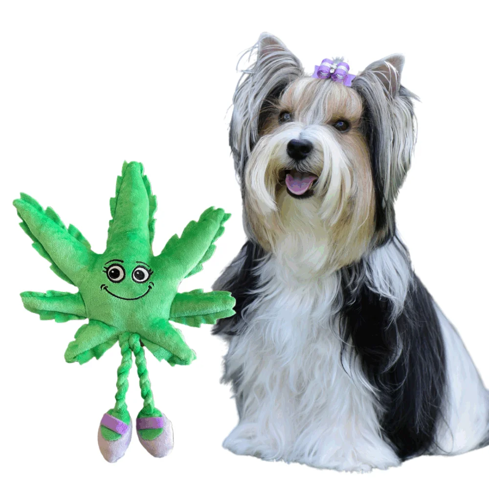 

Mary Jane the Weed Leaf 420 Dog Toy