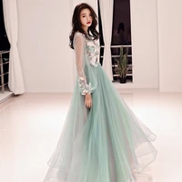 green long sleeve embroidery long mesh dress green pink black xs 3xl luxurious elegant vestidos gowns sexy party fluffy dresses