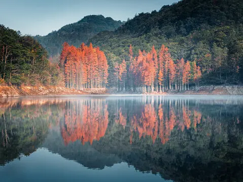 Металлическое шасси из нержавеющей стали защитная пластина для оси AXIAL RBX10 Ryft 1/10