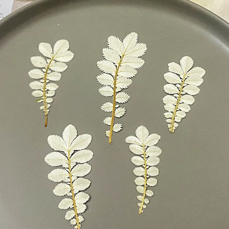 Настольная лампа сделай сам Антибликовая фоторамка с изображением белых листьев