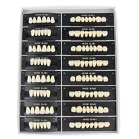 4 setsbox dental resin teeth full mouth false tooth dentistry material 2 layers t2 t10 s68 a23 color dentist supplies