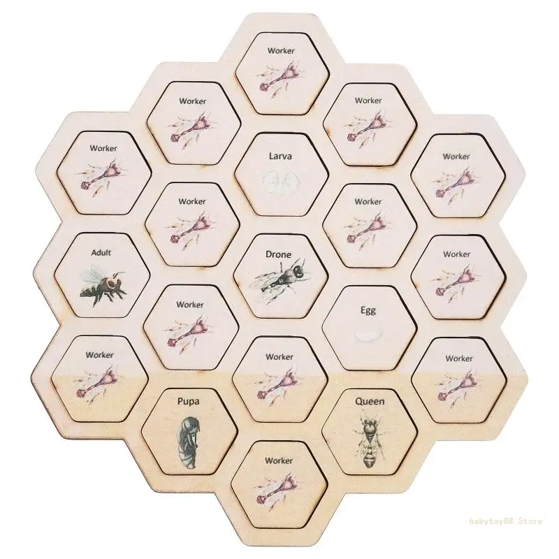 

Y4UD 3-D Puzzle Bees Growing Form Honeycomb Educational Teaching Aid Toddler Kindergarten Developmental Toy Funny Gift