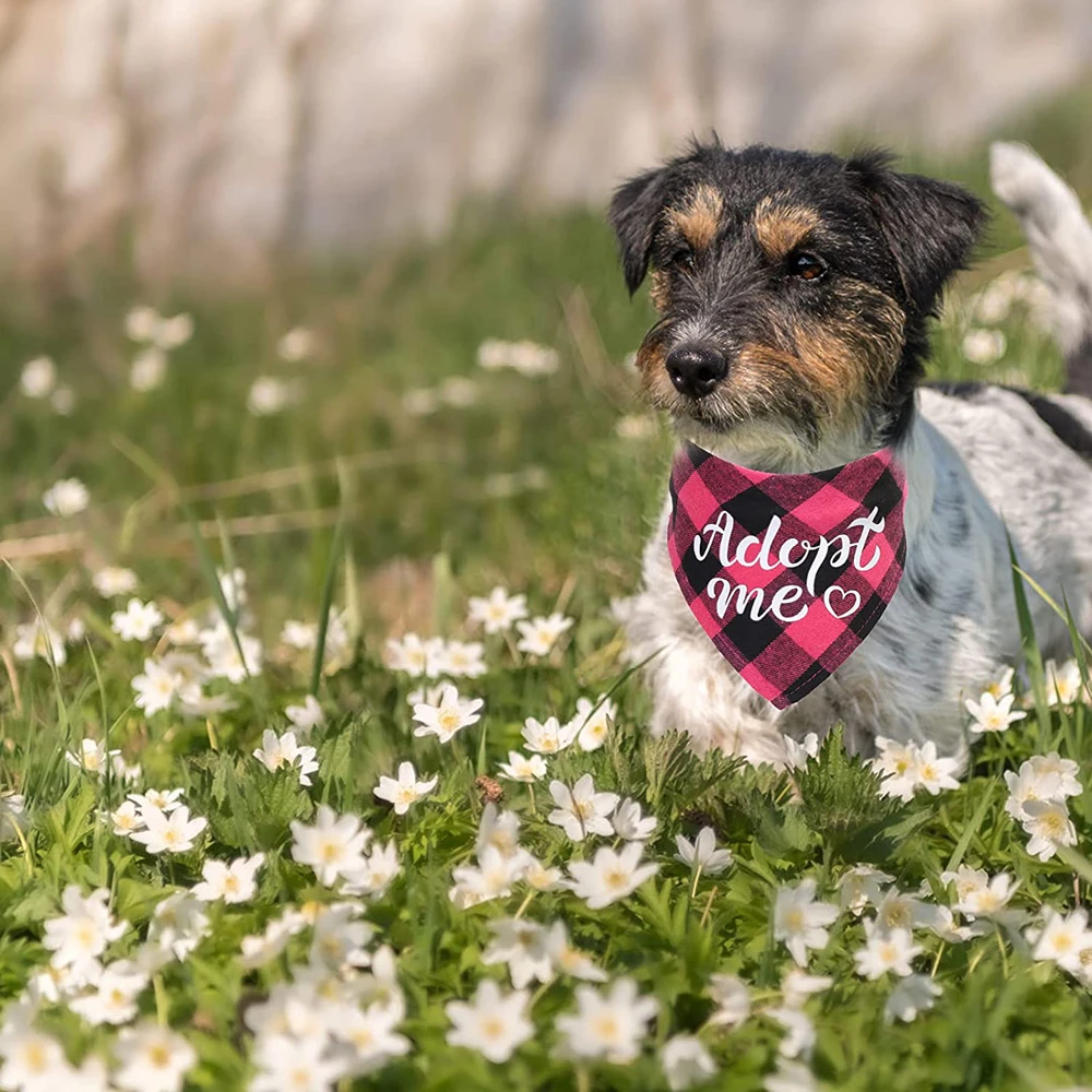 Бандана Adopt Me для собак клетчатая бандана регулируемый шарф кошек домашних