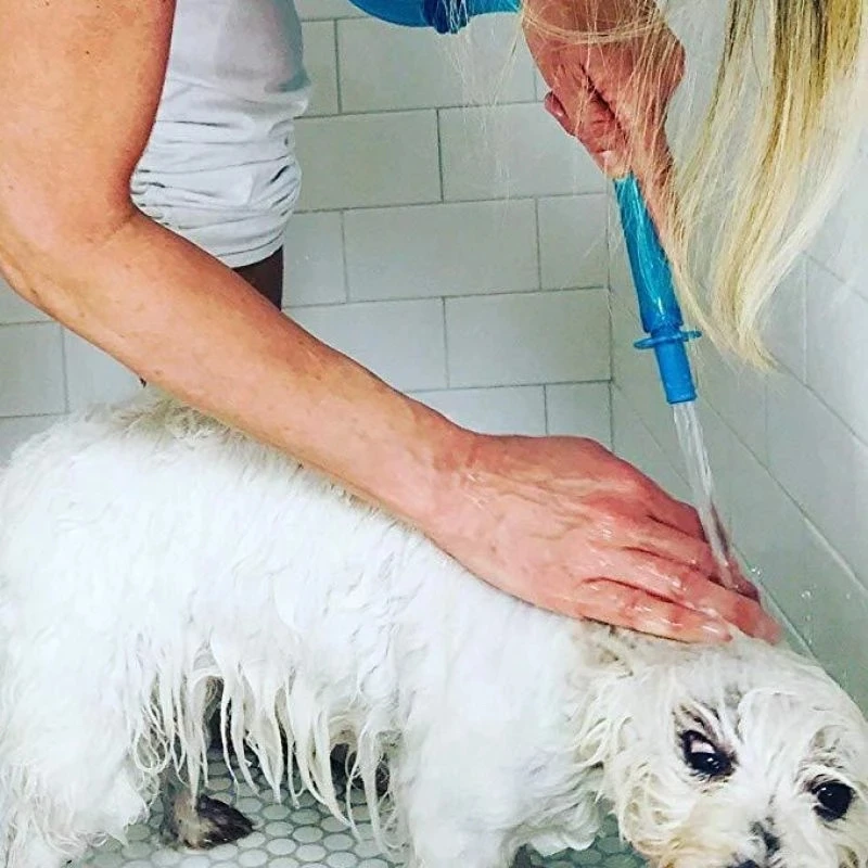 

5 Inch Dog Cat Bath Hose Soft Shower Hose Dog Brush Pet Cleaning Tool Comfort Massager Dog Accessories Pet Supplies