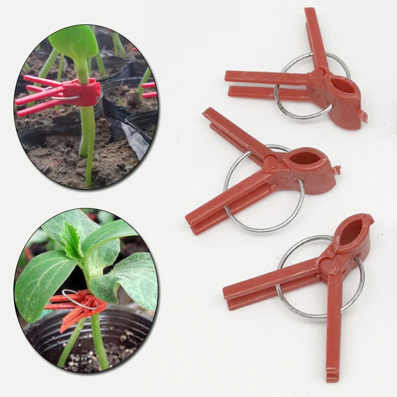 

50pcs Plastic Grafting Clips Watermelon Garden Plant Support Vegetable Flower Vine Stalks Fix Grow Upright Garden Supplies