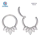 ASTM F136 титановые циркониевые камни, носовые Ушные Кольца